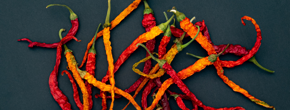 Jak Susit Chilli Papricky (sušení chilli, sušení chilli papriček, závislosti velikosti, zcela suché) Jak Susit Chilli Papricky